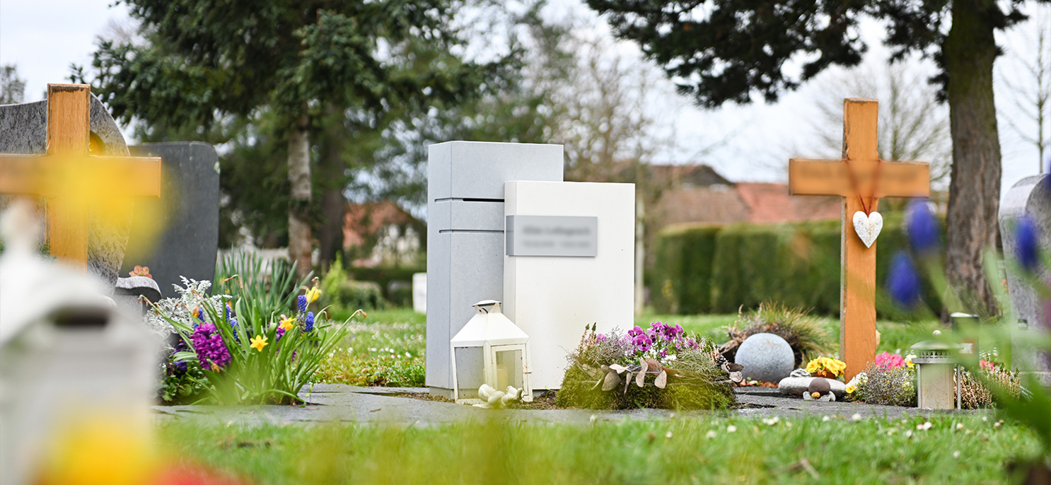 allive_angebote_allivestone_referenz09_Bild5